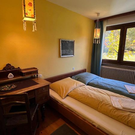 Ferienwohnung Haus im Grünen Saalfelden Exterior foto